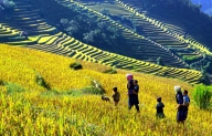 NÊN ĐI DU LỊCH SAPA VÀO MÙA NÀO?